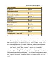 Lyginamoji analizė: viešbučiai "Kaunas" ir "Perkūno namai" 7 puslapis