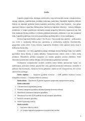 Logistinio aprūpinimo transportavimo plėtra įmonėje: krovinių gabenimas 2 puslapis