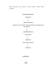 Marketingo komplekso parengimas: UAB "Genrita" 12 puslapis