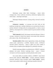 Marketingo komplekso parengimas: UAB "Genrita" 3 puslapis