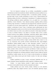 Marketingo kultūra kaip konkurencinio pranašumo šaltinis 2 puslapis