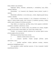 Marketingo kultūra kaip konkurencinio pranašumo šaltinis 3 puslapis