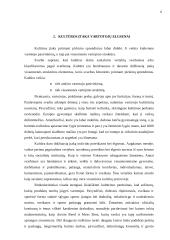 Marketingo kultūra kaip konkurencinio pranašumo šaltinis 4 puslapis