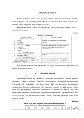 Marketingo planas: interneto kavinė PĮ "Arena" 11 puslapis