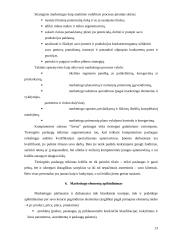 Marketingo planas: interneto kavinė PĮ "Arena" 13 puslapis