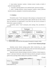 Marketingo planas: interneto kavinė PĮ "Arena" 14 puslapis