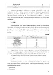 Marketingo planas: interneto kavinė PĮ "Arena" 15 puslapis