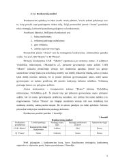 Marketingo planas: interneto kavinė PĮ "Arena" 5 puslapis