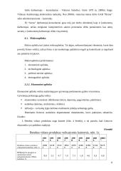 Marketingo planas: interneto kavinė PĮ "Arena" 8 puslapis