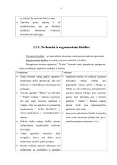 Marketingo planas: turizmo agentūra "Maitrė" 16 puslapis