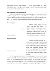 Marketingo planas: viešbutis "Babilonas" 17 puslapis