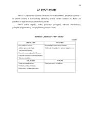 Marketingo planas: viešbutis "Babilonas" 19 puslapis