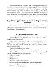 Marketingo planas: viešbutis "Babilonas" 7 puslapis