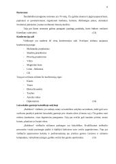 Marketingo planas: viešbutis "Babilonas" 8 puslapis