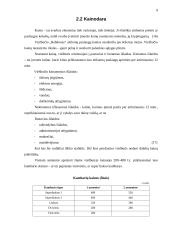 Marketingo planas: viešbutis "Babilonas" 9 puslapis