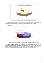 Marketingo tyrimas: sporto aprangos gamyba AB "Audimas" 12 puslapis