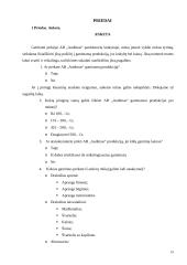 Marketingo tyrimas: sporto aprangos gamyba AB "Audimas" 19 puslapis