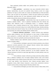 Mažmeninės prekybos organizavimas Marijampolės mieste 11 puslapis