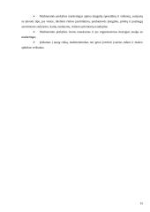 Mažmeninės prekybos organizavimas Marijampolės mieste 15 puslapis