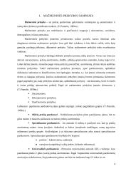 Mažmeninės prekybos organizavimas Marijampolės mieste 4 puslapis