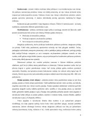 Mažmeninės prekybos organizavimas Marijampolės mieste 8 puslapis