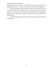 Metinis turto ir pajamų deklaravimas. Deklaracijos formų pildymo metodiniai nurodymai 12 puslapis