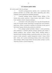 Mikroaplinkos analizė: AB "Lietuvos paštas" 12 puslapis