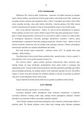 Mikroaplinkos analizė: AB "Lietuvos paštas" 15 puslapis
