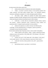Mikroaplinkos analizė: AB "Lietuvos paštas" 17 puslapis
