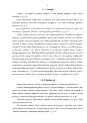 Mikroaplinkos analizė: AB "Lietuvos paštas" 5 puslapis