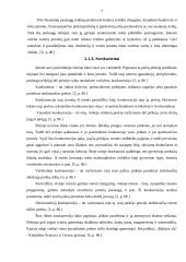 Mikroaplinkos analizė: AB "Lietuvos paštas" 7 puslapis