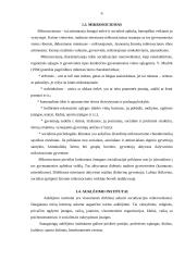 Mikroaplinkos įtaka asmenybės ugdymui ir jos socializavimui 6 puslapis