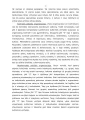 Modernios organizacijos elgsenos bruožų tyrimo instrumentarijaus problema 11 puslapis