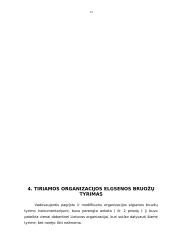 Modernios organizacijos elgsenos bruožų tyrimo instrumentarijaus problema 12 puslapis