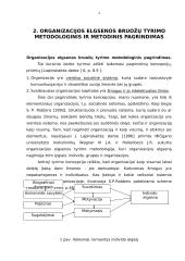 Modernios organizacijos elgsenos bruožų tyrimo instrumentarijaus problema 3 puslapis