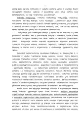 Modernios organizacijos elgsenos bruožų tyrimo instrumentarijaus problema 6 puslapis