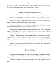 Mokestinių prievolių deklaravimas ir administravimas 19 puslapis