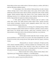 Mokymo metodų įvairovė 15 puslapis