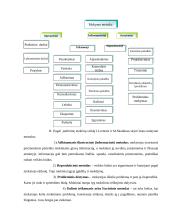 Mokymo metodų įvairovė 6 puslapis