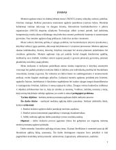 Mokinio ugdymas dailės pamokoje 2 puslapis