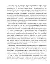 Mokinio ugdymas dailės pamokoje 11 puslapis