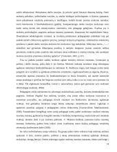 Mokinio ugdymas dailės pamokoje 13 puslapis