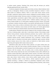 Mokinio ugdymas dailės pamokoje 14 puslapis