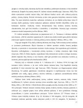 Mokinio ugdymas dailės pamokoje 16 puslapis