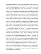 Mokinio ugdymas dailės pamokoje 6 puslapis