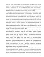 Mokinio ugdymas dailės pamokoje 8 puslapis