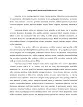 Mokinių tėvų ir mokyklos bendradarbiavimas 12 puslapis