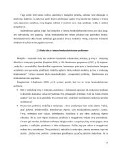 Mokinių tėvų ir mokyklos bendradarbiavimas 17 puslapis