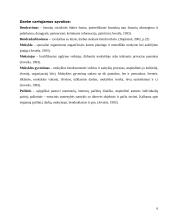 Mokinių tėvų ir mokyklos bendradarbiavimas 6 puslapis