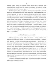 Mokslinio valdymo atstovai: H. ir L. Gilbreth, H. L. Gantt, H. Emerson 8 puslapis
